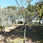 La Maison Des Oliviers Penzion 3*