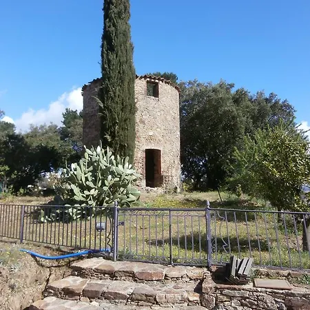 Gæstehus La Maison Des Oliviers Cogolin