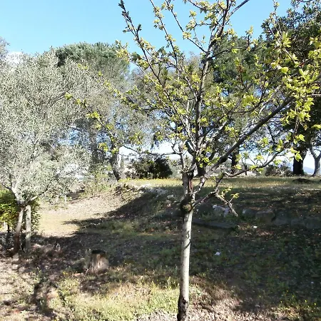 La Maison Des Oliviers Affittacamere 2*