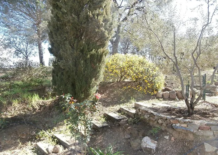 La Maison Des Oliviers بيت ضيافة 3*