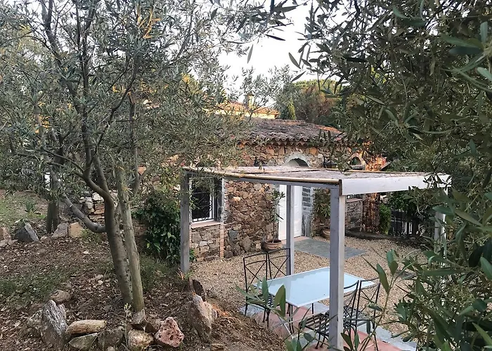 بيت ضيافة La Maison Des Oliviers